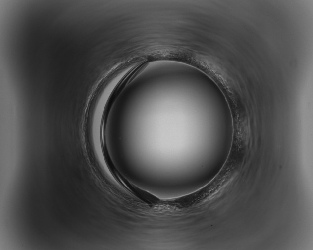 X0000097960399200803241218