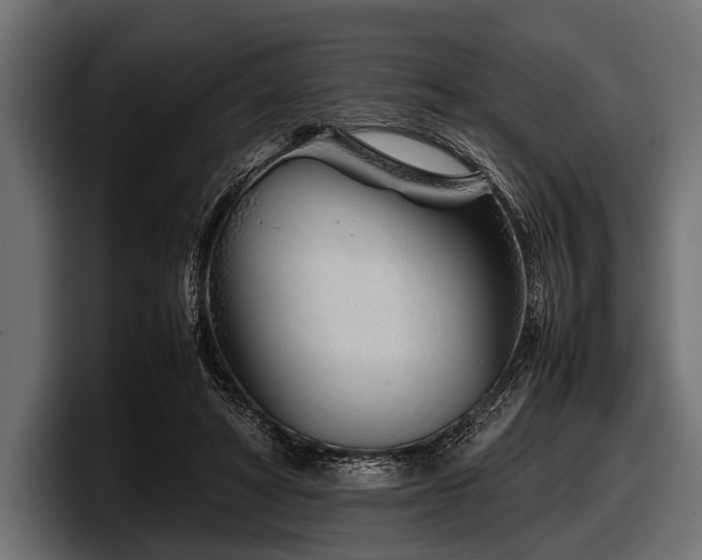 X0000097960402200803241218
