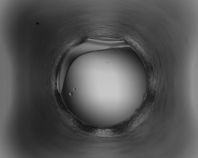 X0000097960403200803241218
