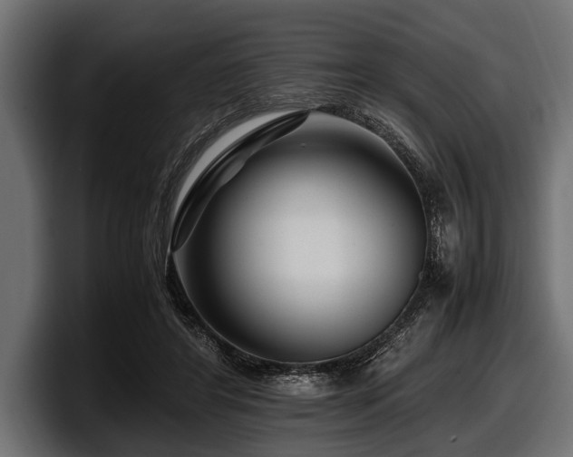 X0000097960404200803241218