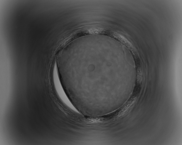 X0000097960405200803241218
