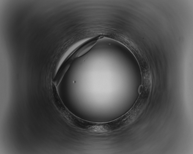 X0000097960406200803241218