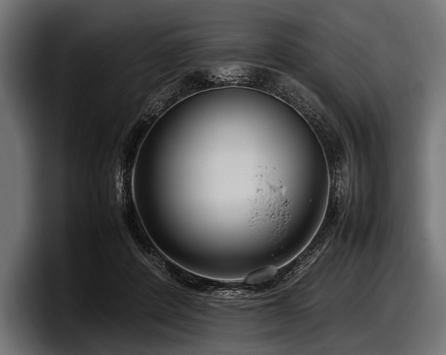 X0000097960408200803241218
