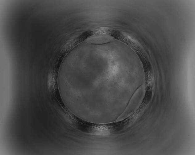 X0000097960409200803241218