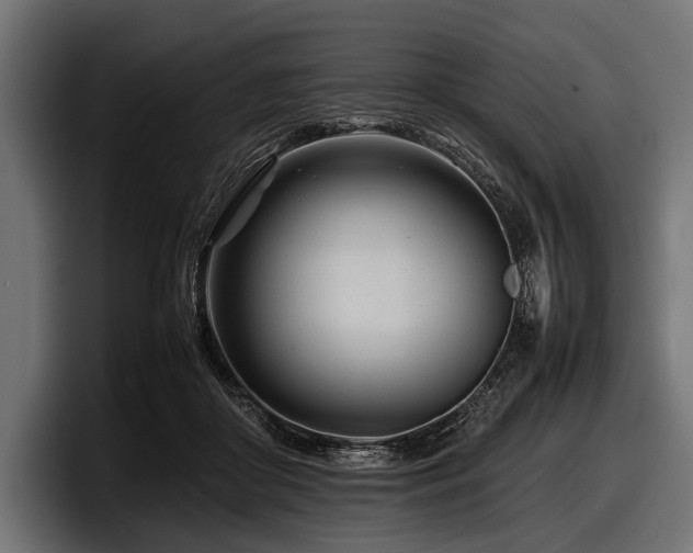 X0000097960410200803241218