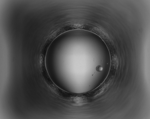 X0000097960412200803241218