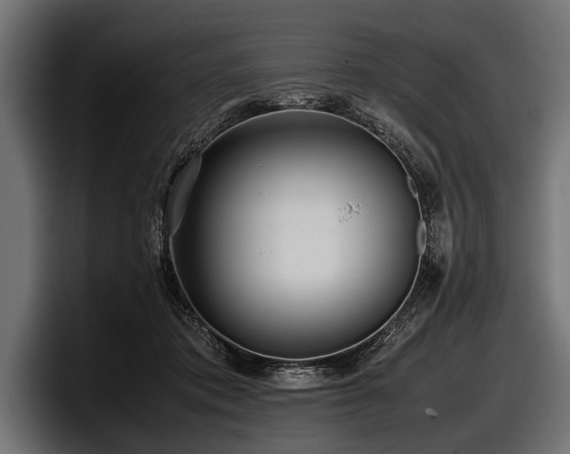 X0000097960413200803241218