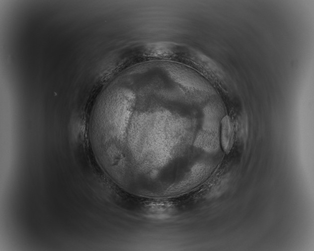 X0000097960415200803241218