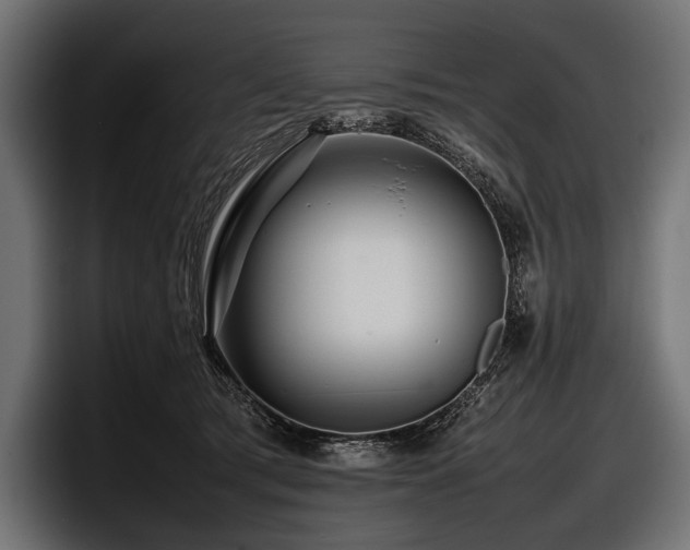 X0000097960417200803241218