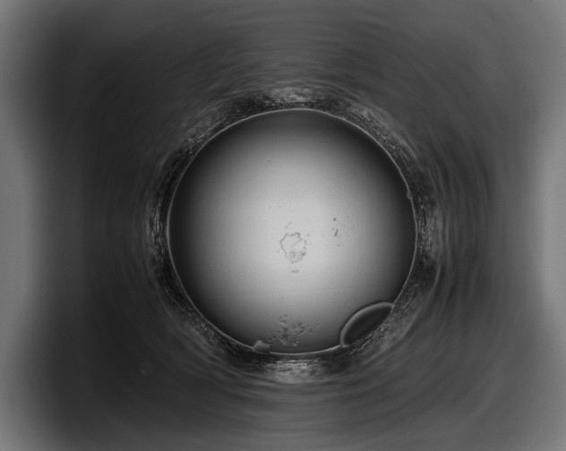 X0000097960418200803241218