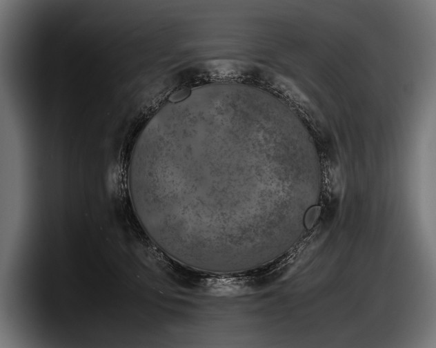 X0000097960419200803241218