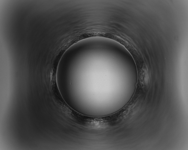 X0000097960420200803241218