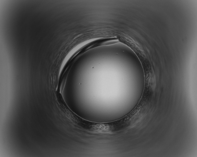 X0000097960421200803241218