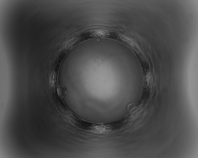 X0000097960423200803241218