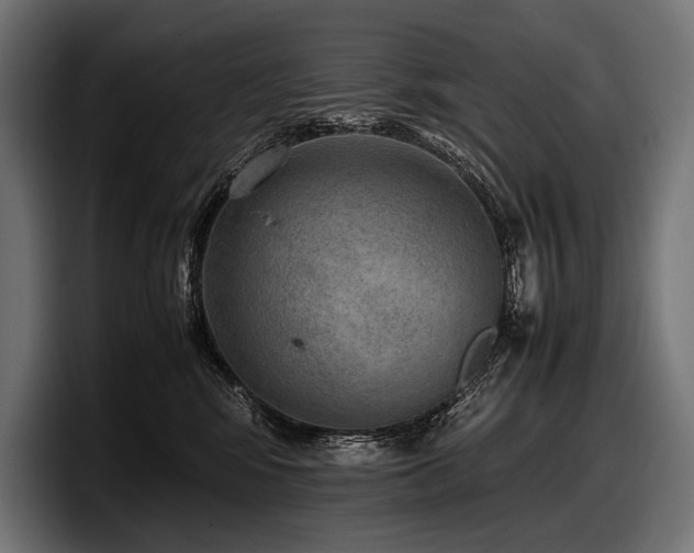 X0000097960424200803241218