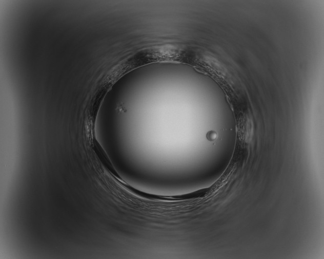 X0000097960425200803241218