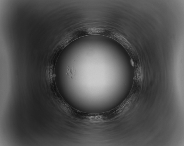 X0000097960426200803241217