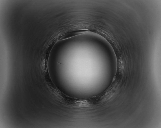 X0000097960428200803241217