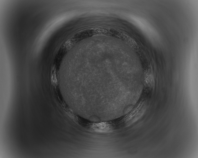 X0000097960431200803241217
