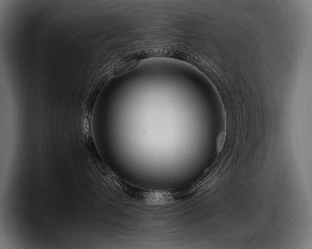 X0000097960432200803241217