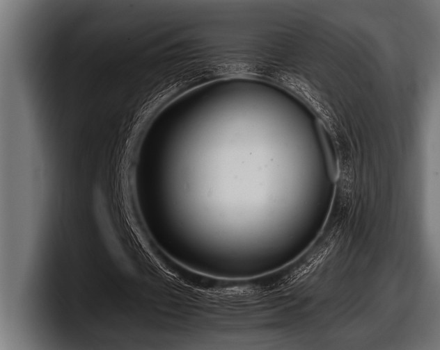 X0000097960433200803241217