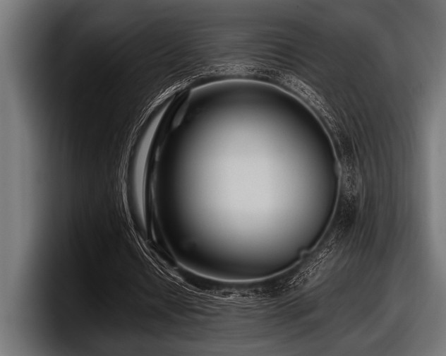 X0000097960434200803241217