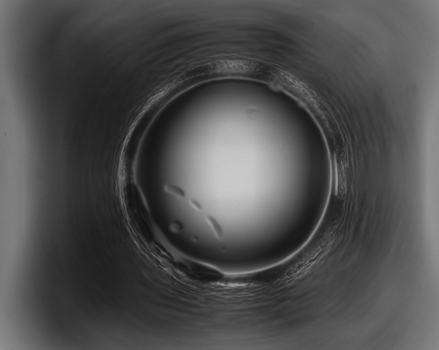 X0000097960435200803241217