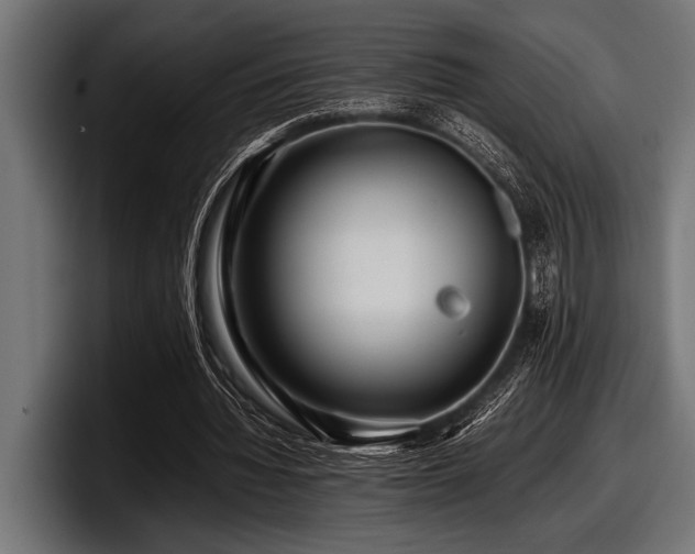X0000097960436200803241217