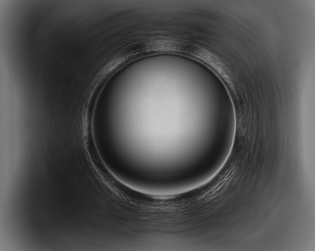 X0000097960437200803241217