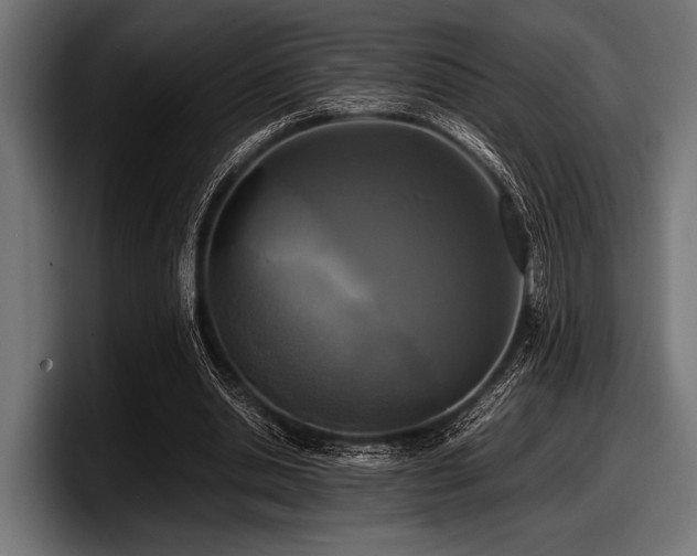 X0000097960438200803241217