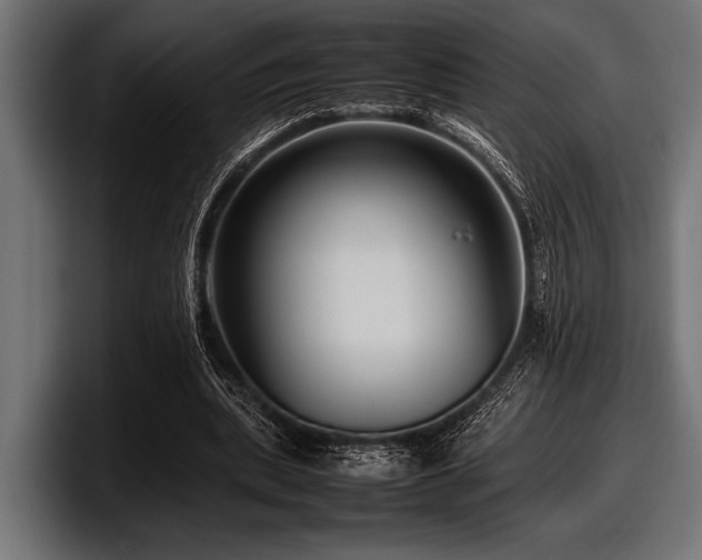 X0000097960439200803241217