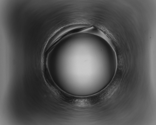 X0000097960440200803241217