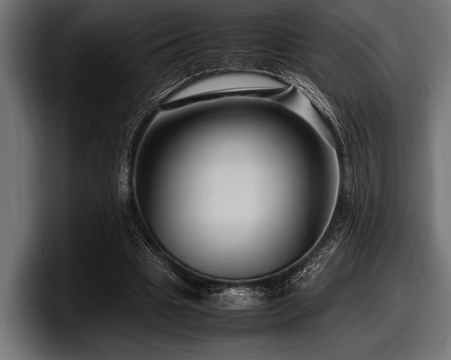 X0000097960441200803241217