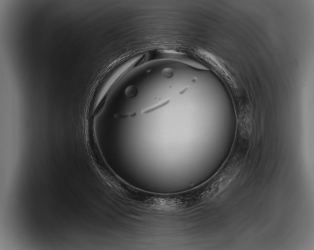 X0000097960442200803241217
