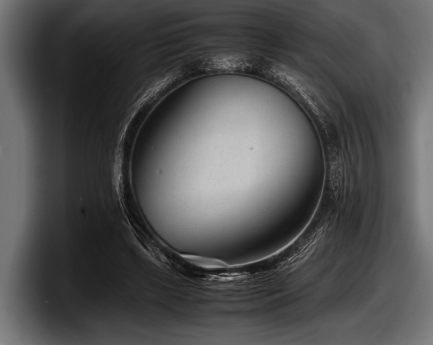 X0000097960443200803241217