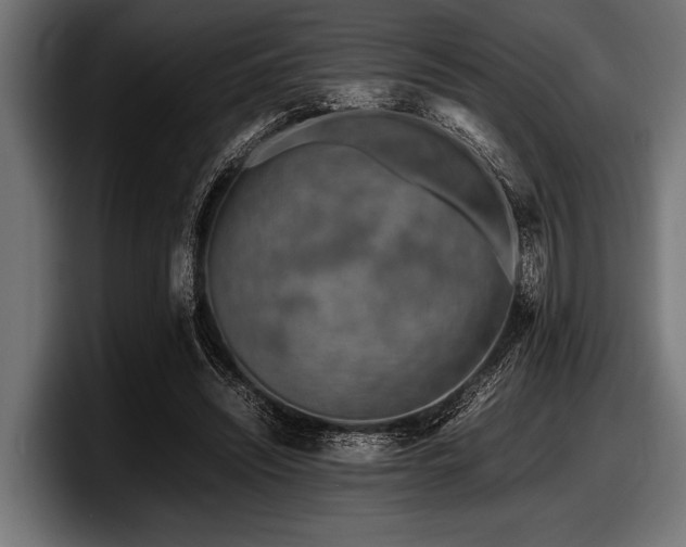X0000097960444200803241217