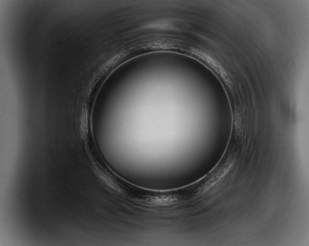 X0000097960445200803241217