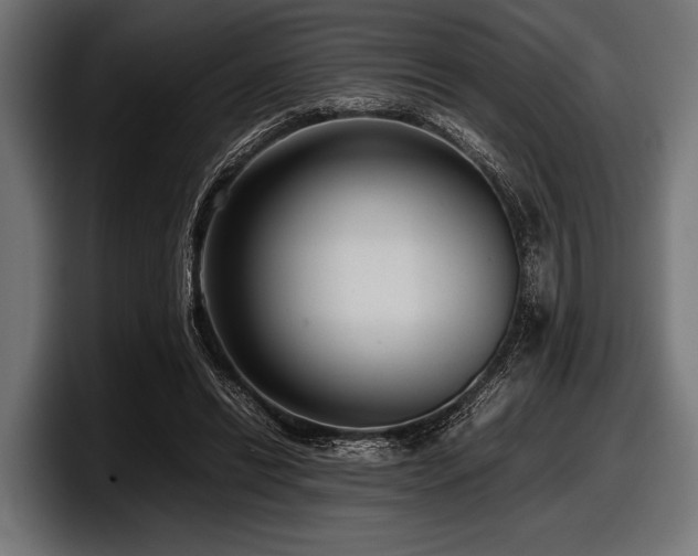 X0000097960446200803241217