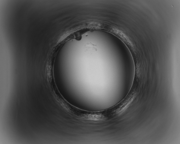 X0000097960449200803241217
