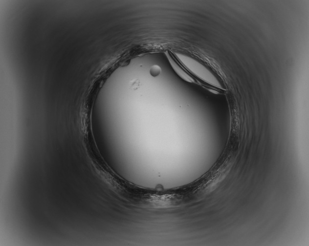 X0000097960450200803241217