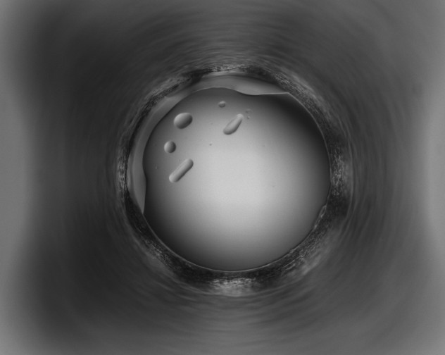 X0000097960452200803241217