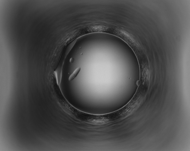 X0000097960459200803241217