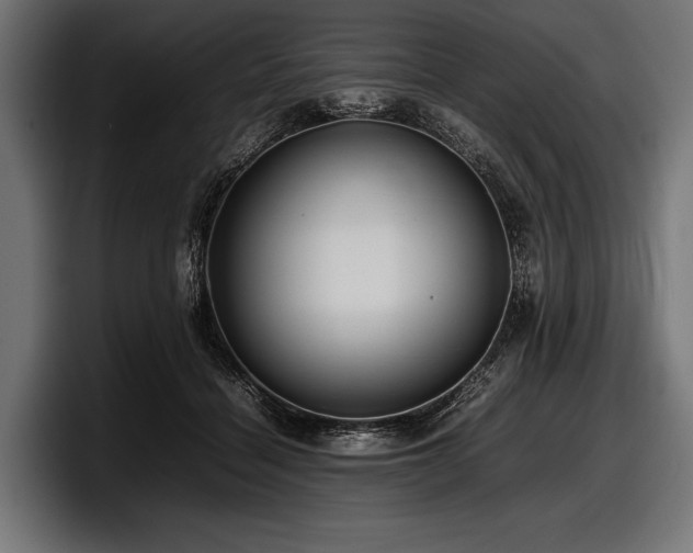 X0000097960460200803241217