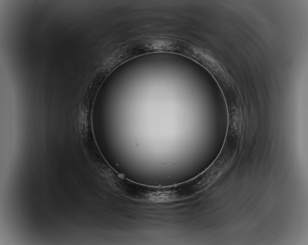 X0000097960461200803241217