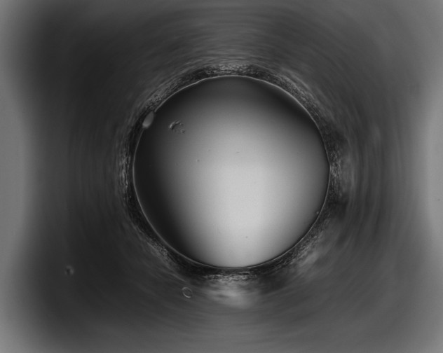 X0000097960462200803241217