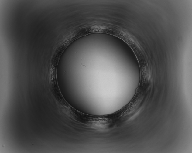 X0000097960463200803241217