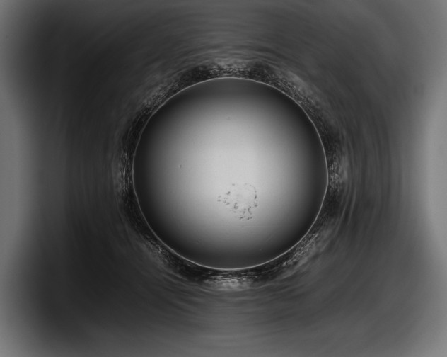 X0000097960464200803241217
