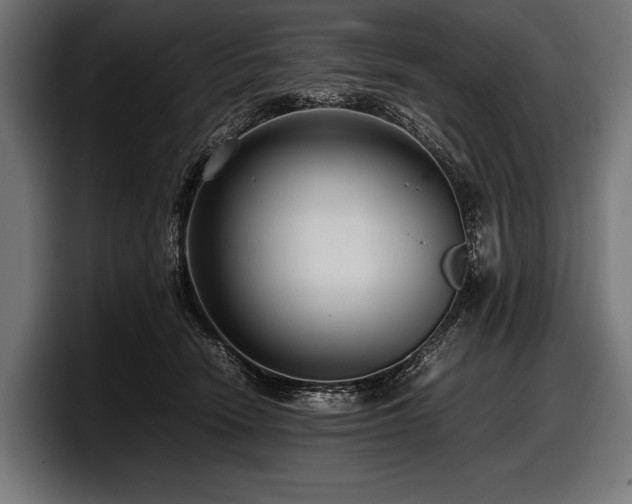 X0000097960466200803241217