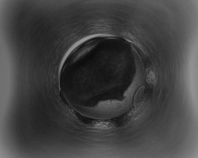 X0000097960471200803241217