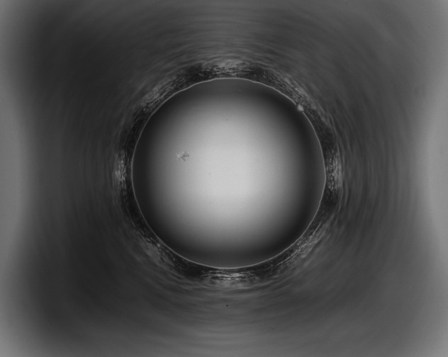 X0000097960472200803241217
